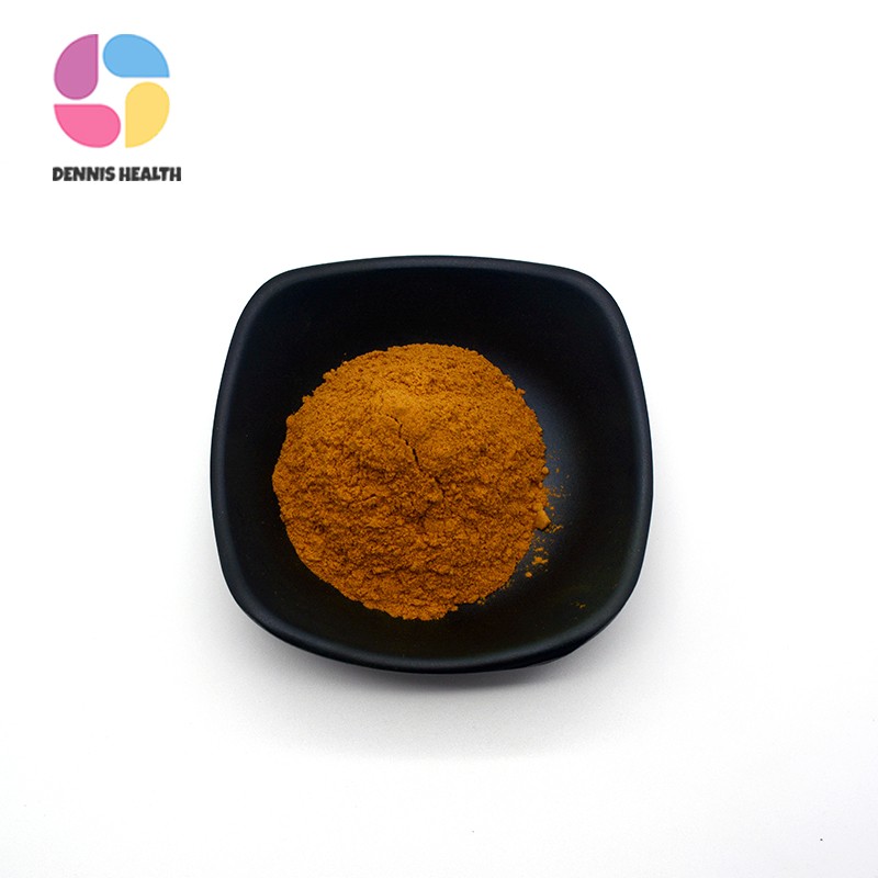 Best Price Ginkgo Biloba Extract Ginkgo 24% Flavonoids Ginkgo Biloba Extract Powder