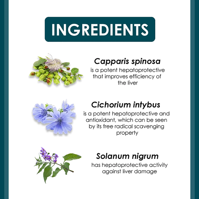 Herbal Extract Capsules Supplier - Liv.52 DS Himalaya 60caps