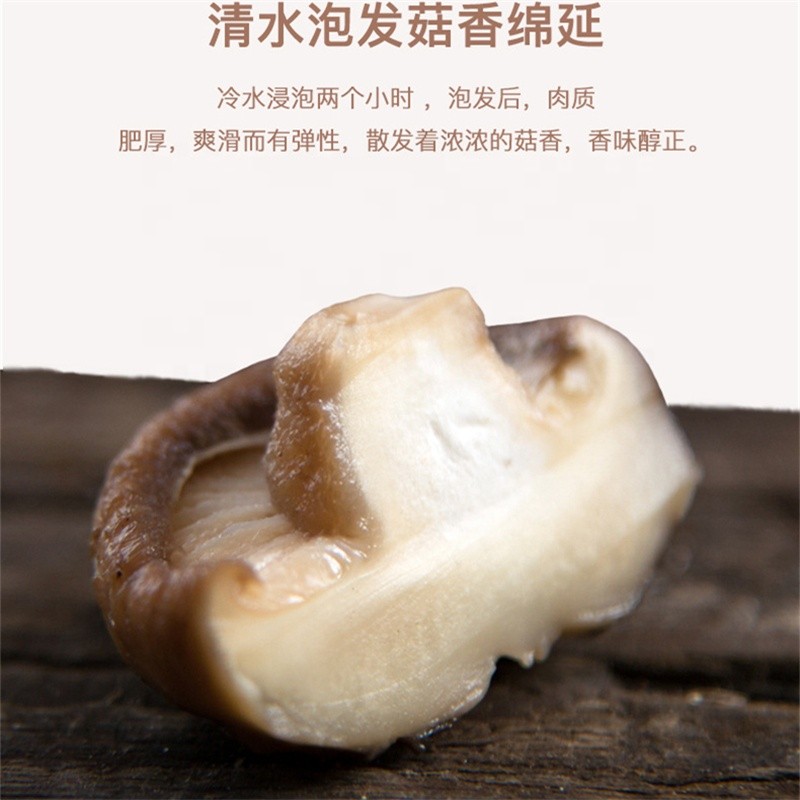 Shiitake Mushroom Manufacturer - Dried Mycelium Supplier