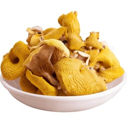 Chanterelle Mushrooms Manufacturer - Dried Bulk Wholesale