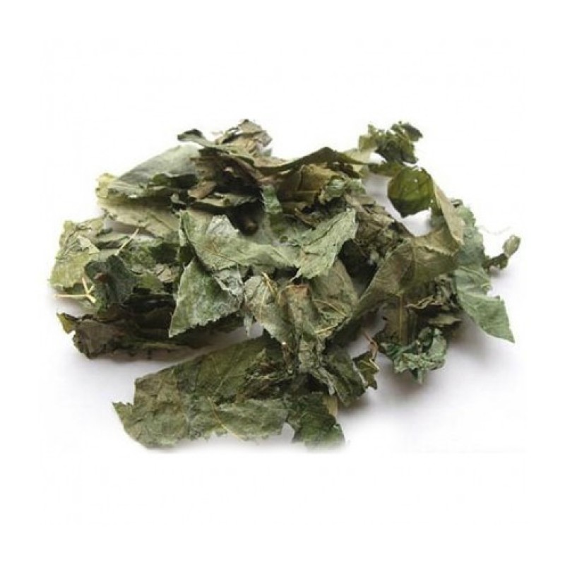 Mint Manufacturer - Factory Wholesale Supply