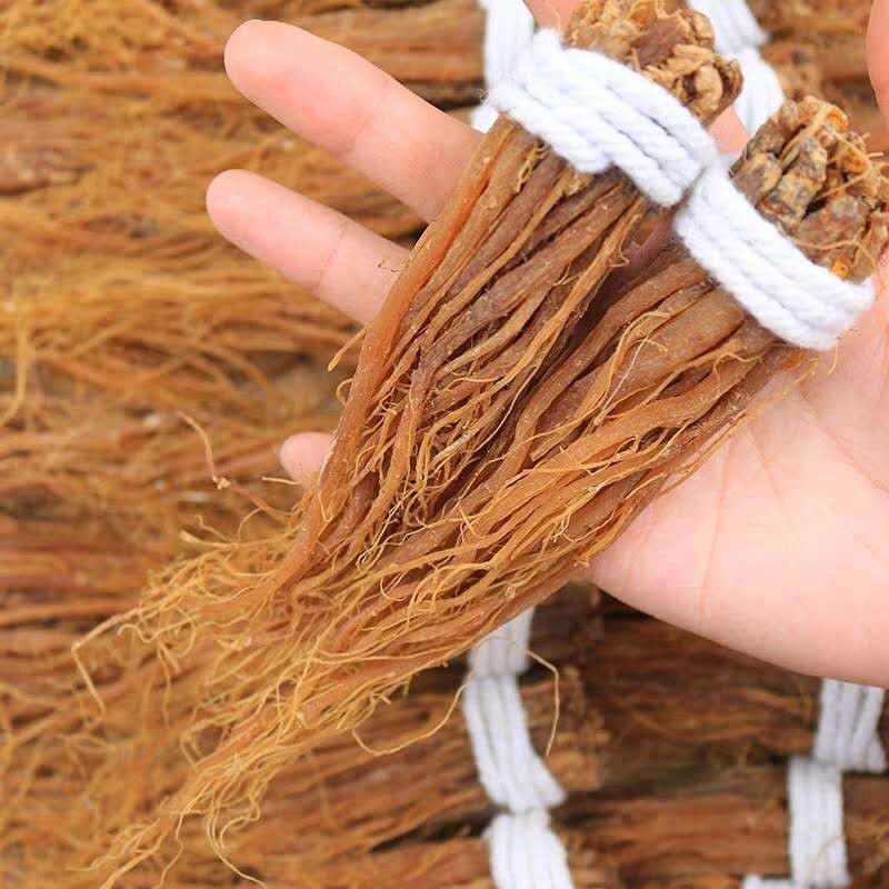 Red Ginseng Tea Manufacturer - Korean Halal Nutritious