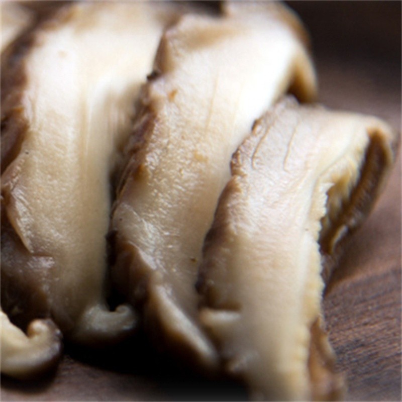 Shiitake Mushroom Manufacturer - Dried Mycelium Supplier