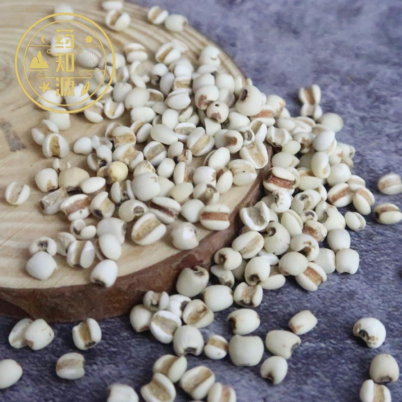 Coix Seed Manufacturer - Job's Tears Pearl Barley