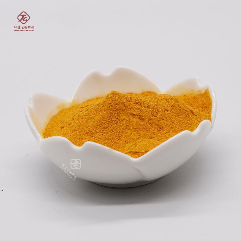 Turmeric Powder Manufacturer - Organic Ground Root