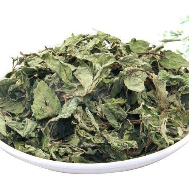 Mint Manufacturer - Factory Wholesale Supply