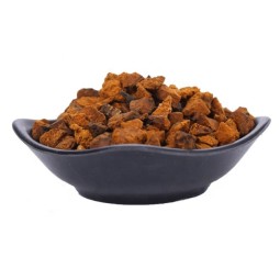 Chaga Mushroom Factory - Dried Chaga Powder Wholesale