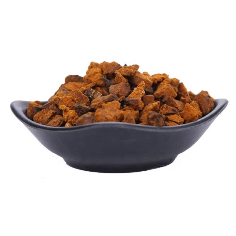 Chaga Mushroom Factory - Dried Chaga Powder Wholesale