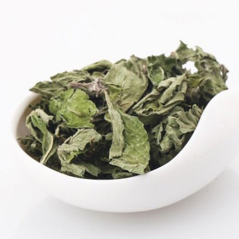 Mint Manufacturer - Factory Wholesale Supply