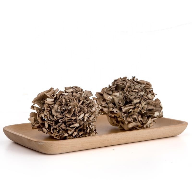 Maitake Mushroom Manufacturer - Grifron Dietary Supplement