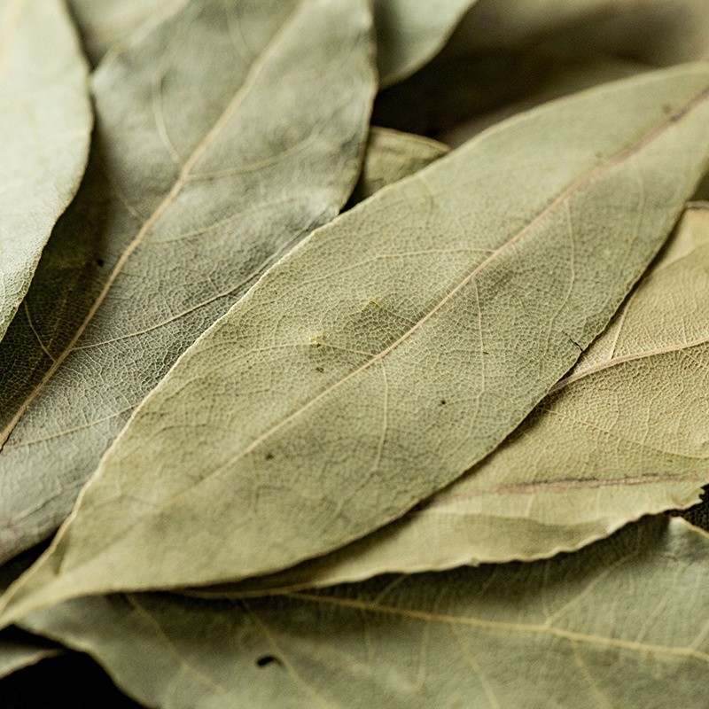 Bay Leaf Factory - Laurel Leaves Cooking