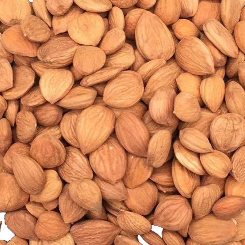 Sweet Almond Manufacturer - Organic Dried Fruits Bulk
