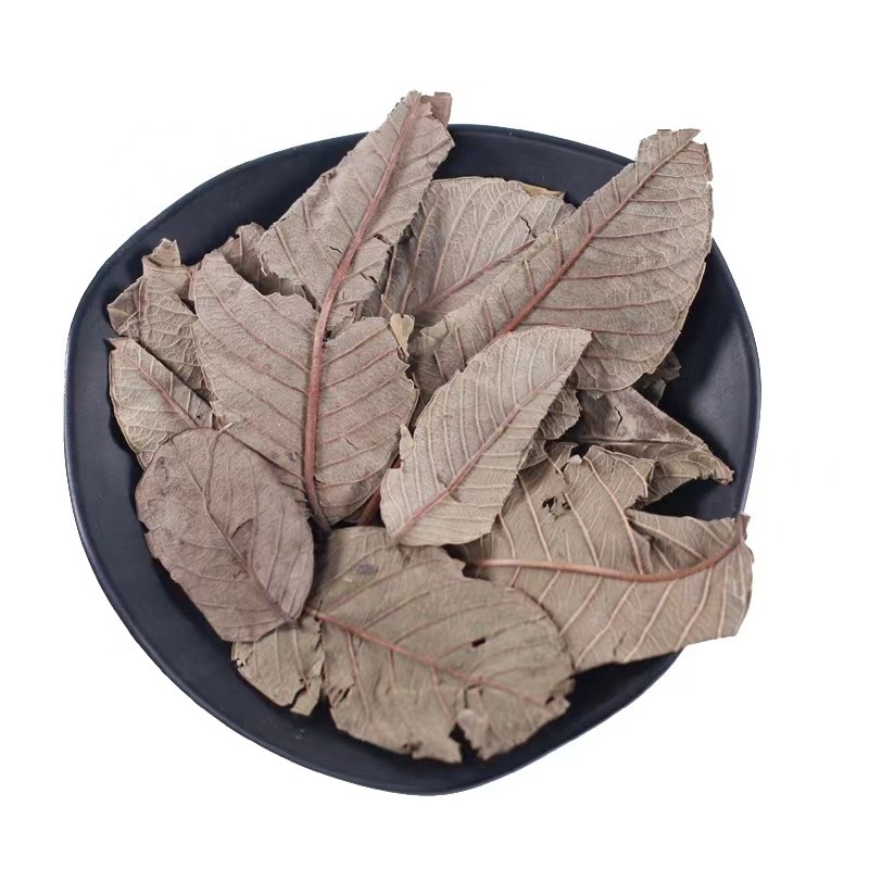 Guava Leaf Tea Manufacturer - Herbal Tea Bulk Wholesale