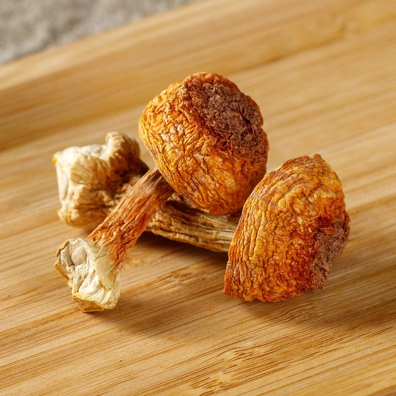 Agaricus Blazei Manufacturer - Dried Mushroom Bulk Supplier