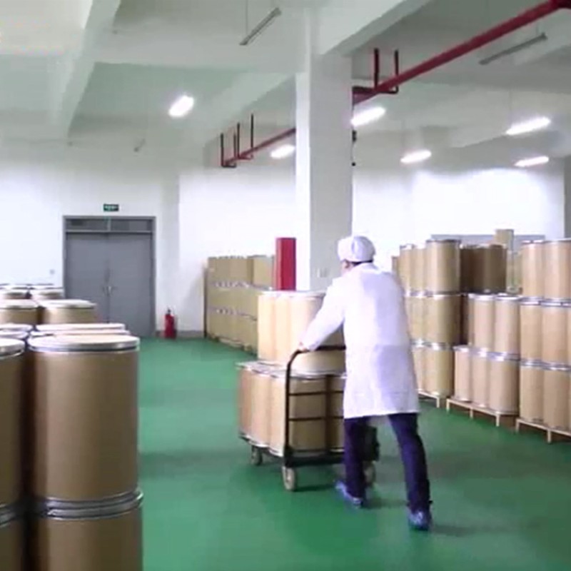 Ashwagandha Powder Manufacturer - Dried Extract Yin Du