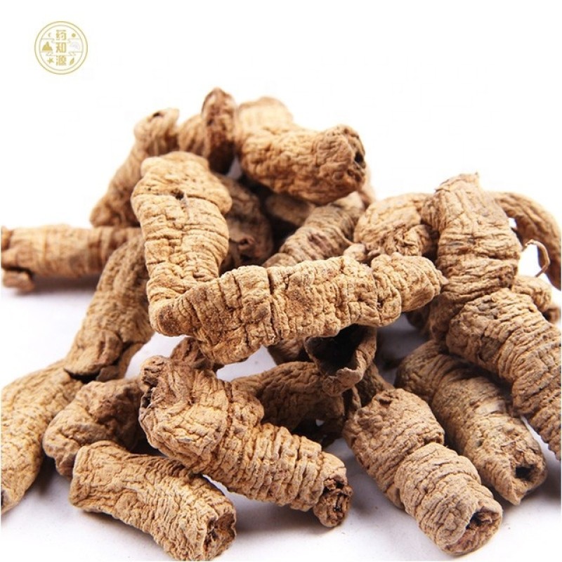 Morinda Root Manufacturer - Traditional Herbal