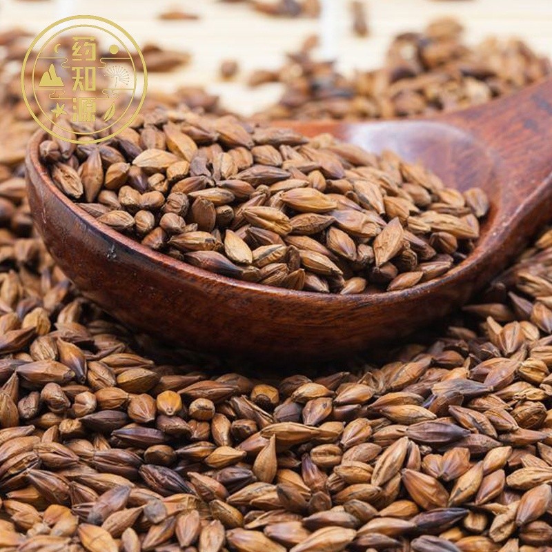 Barley Tea Manufacturer - Weight Loss Herbal Bag