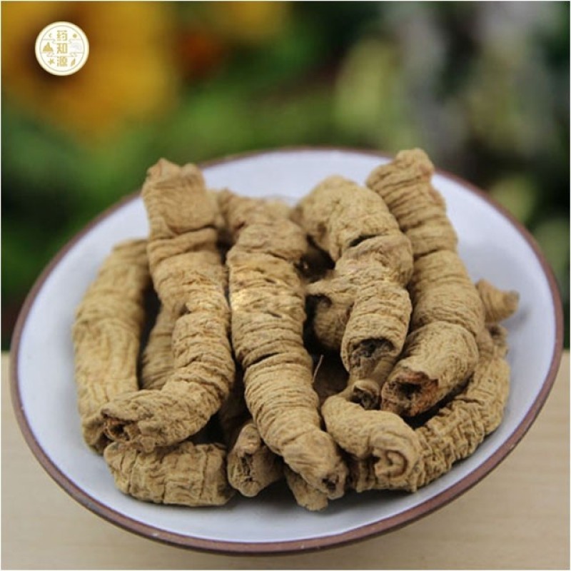 Morinda Root Manufacturer - Traditional Herbal
