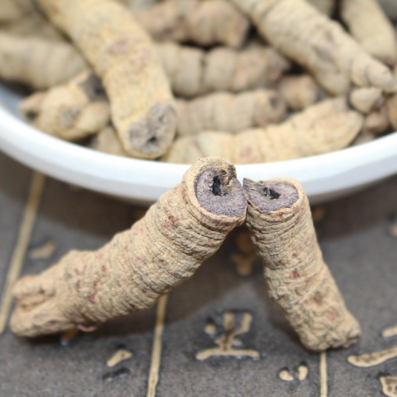 Morinda Root Manufacturer - Traditional Herbal