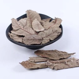 Guava Leaf Tea Manufacturer - Herbal Tea Bulk Wholesale