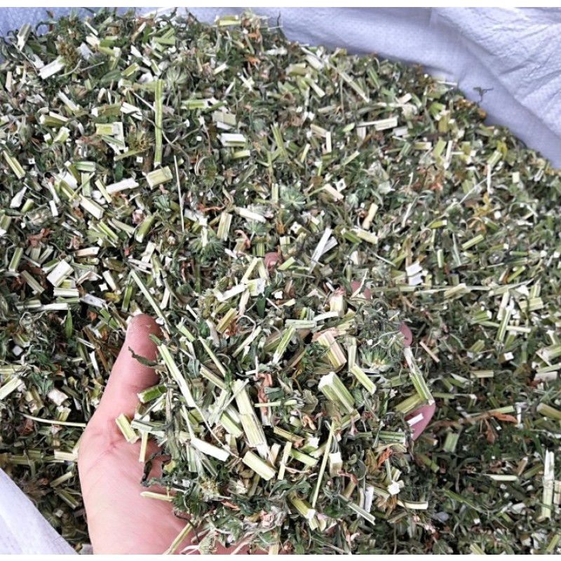 Motherwort Manufacturer - Yi Mu Cao Dried Herb Supplier