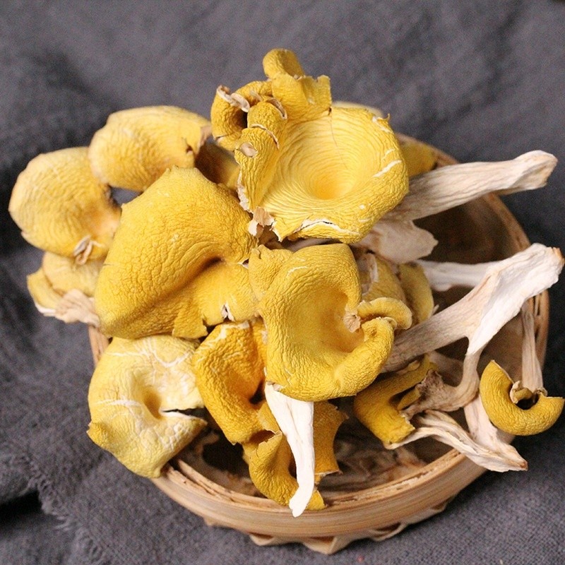 Chanterelle Mushrooms Manufacturer - Dried Bulk Wholesale