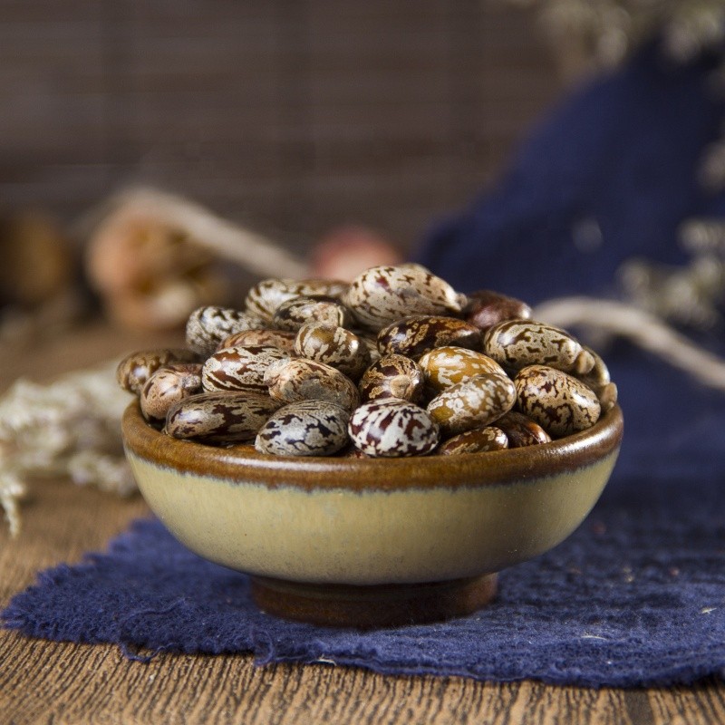 Castor Bean Seed Manufacturer - Bi Ma Zi Natural