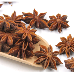 Whole Star Anise Supplier - Guangxi Export Dried Spice