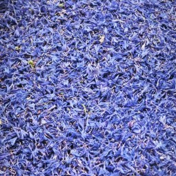 Cornflower Petal Manufacturer - Hibiscus Blue Sapphire
