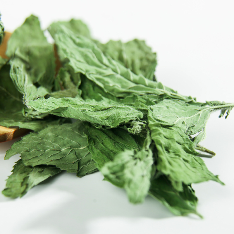 Peppermint Tea Factory - Chinese Herbal Mint Leaves