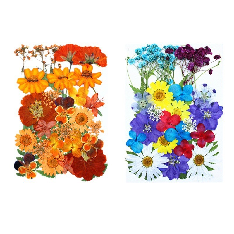 Christmas Decoration Supplier - Pressed Flower Embossed