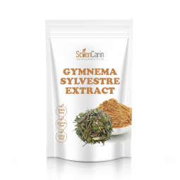 Gymnema Sylvestre Extract Factory - 25% Gymnemic Acid