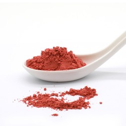 Tomato Powder Manufacturer - 100% Pure Vegetable Powder