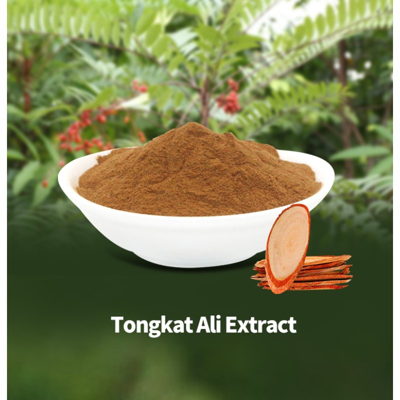 Tongkat Ali Extract Factory - 2% Eurycomanone Natural