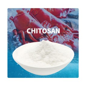 Chitosan Supplier - 90% Water Soluble Factory Price
