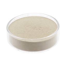 Enterococcus Faecium Supplier - Feed Grade Probiotics Powder