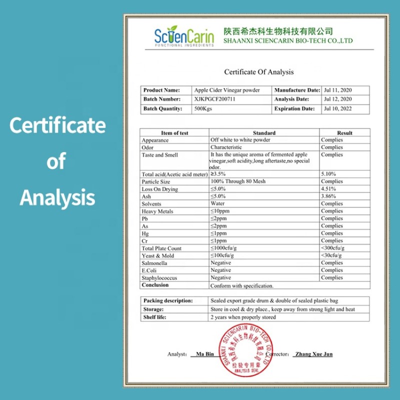 Apple Cider Vinegar Powder Factory - Food Grade Reliable Quality