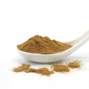 Alfalfa Leaf Extract Powder Manufacturer - 40% Saponins Wholesale Factory