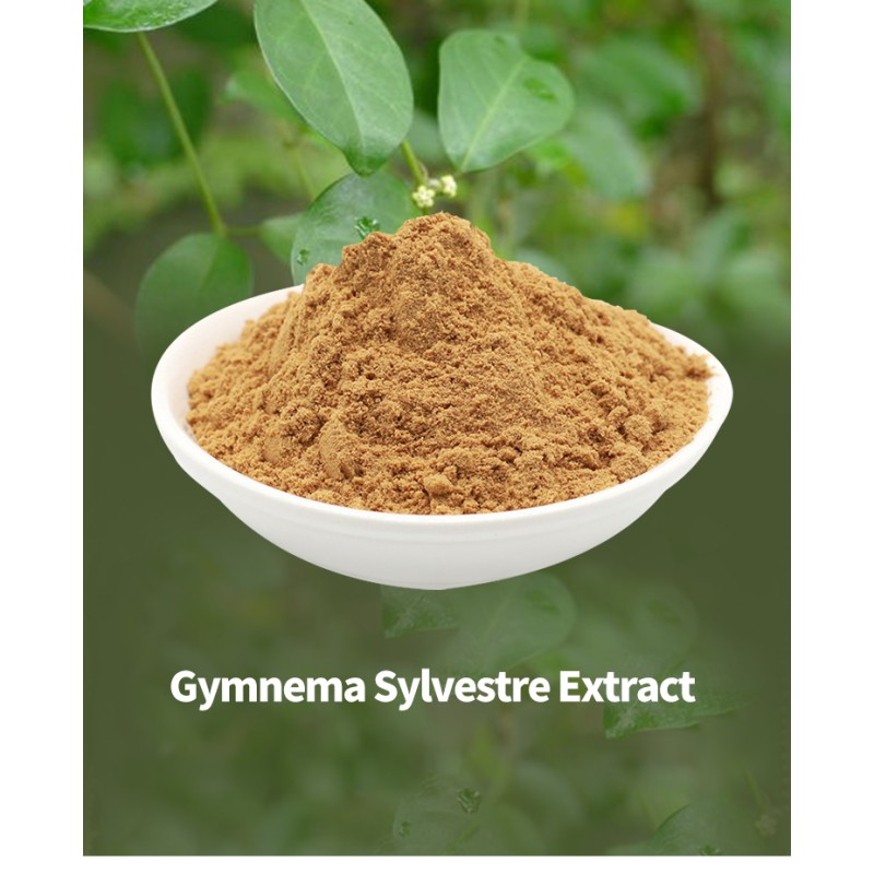Gymnema Sylvestre Extract Factory - 25% Gymnemic Acid