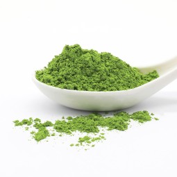 Barley Grass Extract Factory - Chinese Green Powder