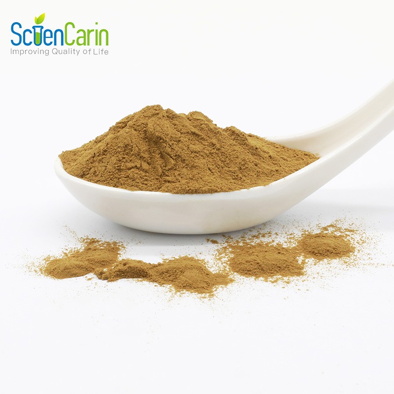 Ashwagandha Extract Supplier - 5% Withanolides Plant Extract