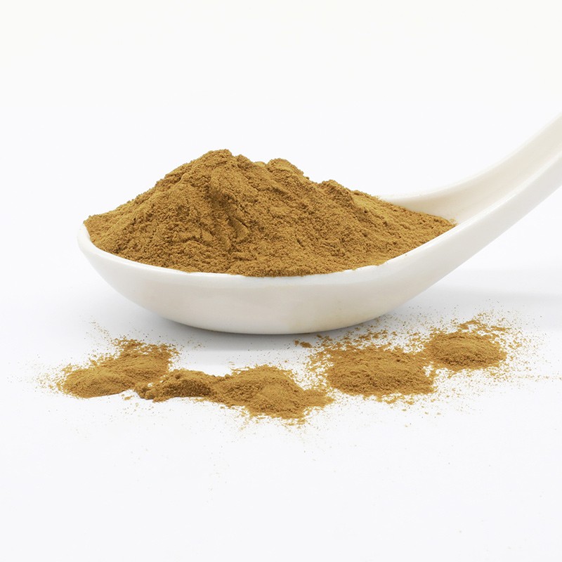 Black Maca Extract Supplier - High Quality Powder Hot Selling