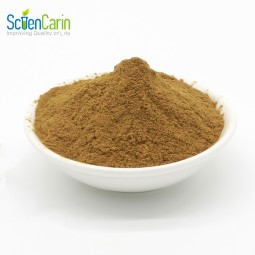 Yucca Schidigera Extract Manufacturer - 30% Yucconin Pet Care Supplement