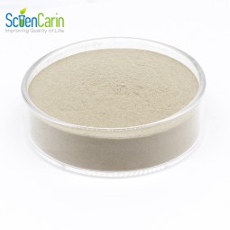 Saccharomyces Cerevisiae Powder Manufacturer - CAS 84604-16-0 Feed Grade