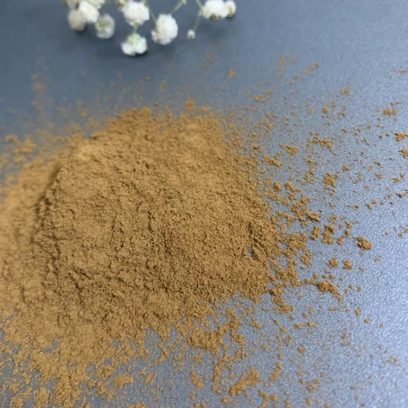Mushroom Extract Powder Manufacturer - Low Price Bulk Supply
