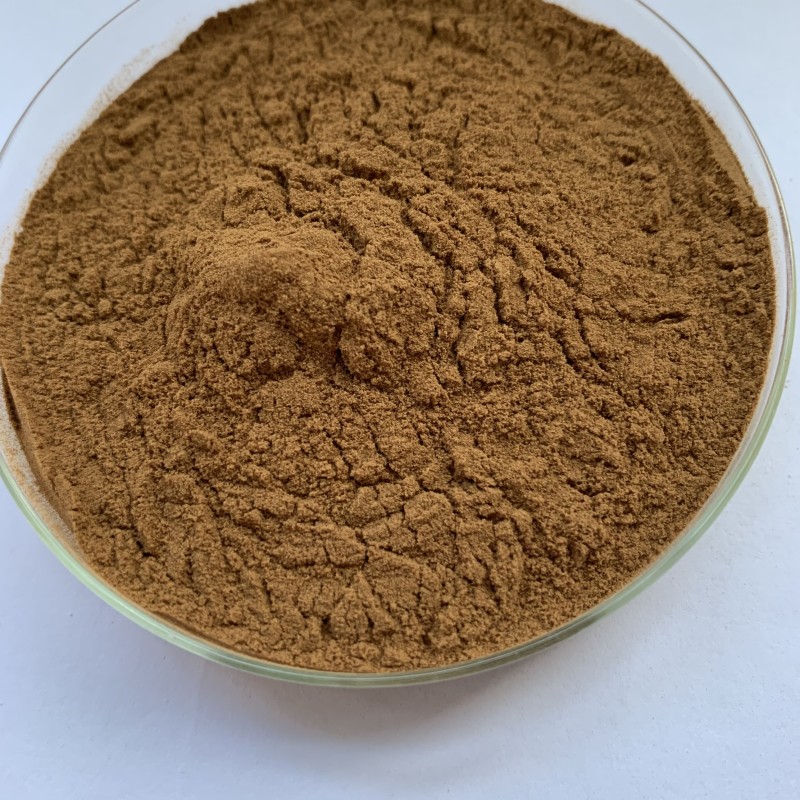 Reishi Mushroom Extract Factory - 40% Polysaccharides Powder