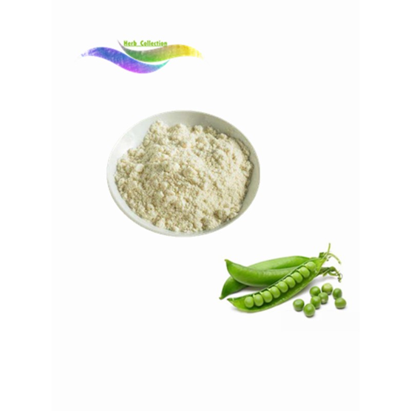Pea Protein Powder Factory - 80% Wholesale Price