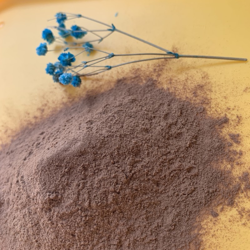 Lion's Mane Powder Manufacturer - Bulk Price Mushroom Extract