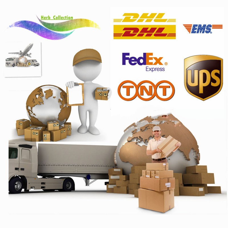 Hyaluronic Acid Powder Factory - Low Molecular Weight Raw Material