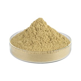 Cordyceps Extract Supplier - Sinensis Powder Low Price